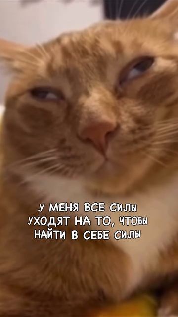 сил нет