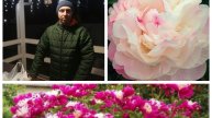 Новые пионы для нашего сада 2025🪷