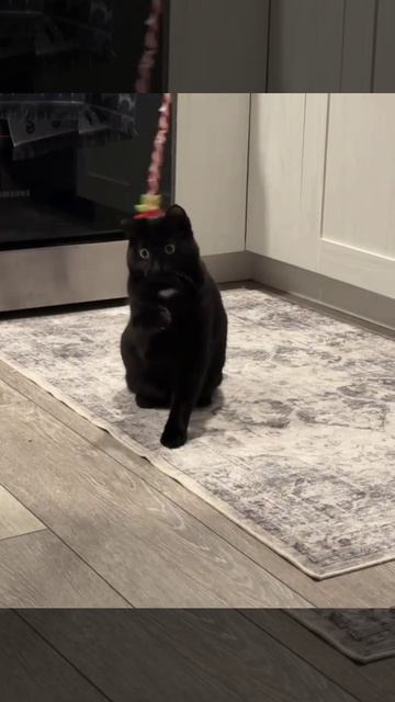 Они говорят, что нужно думотб дважды, прежде чем что-то сделать. Я не думою даже одинажды🤪