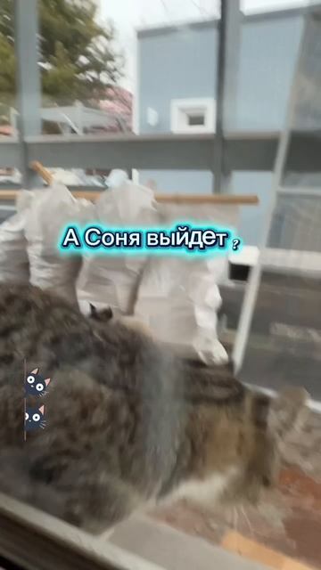 Соня выгоняет непрошенных гостей