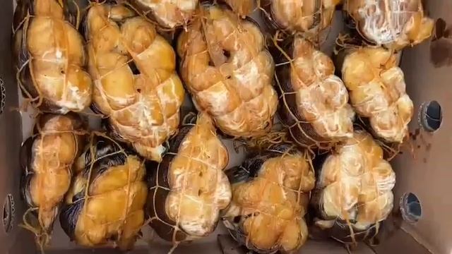 Стейк из зубатки полосатой горячего копчения