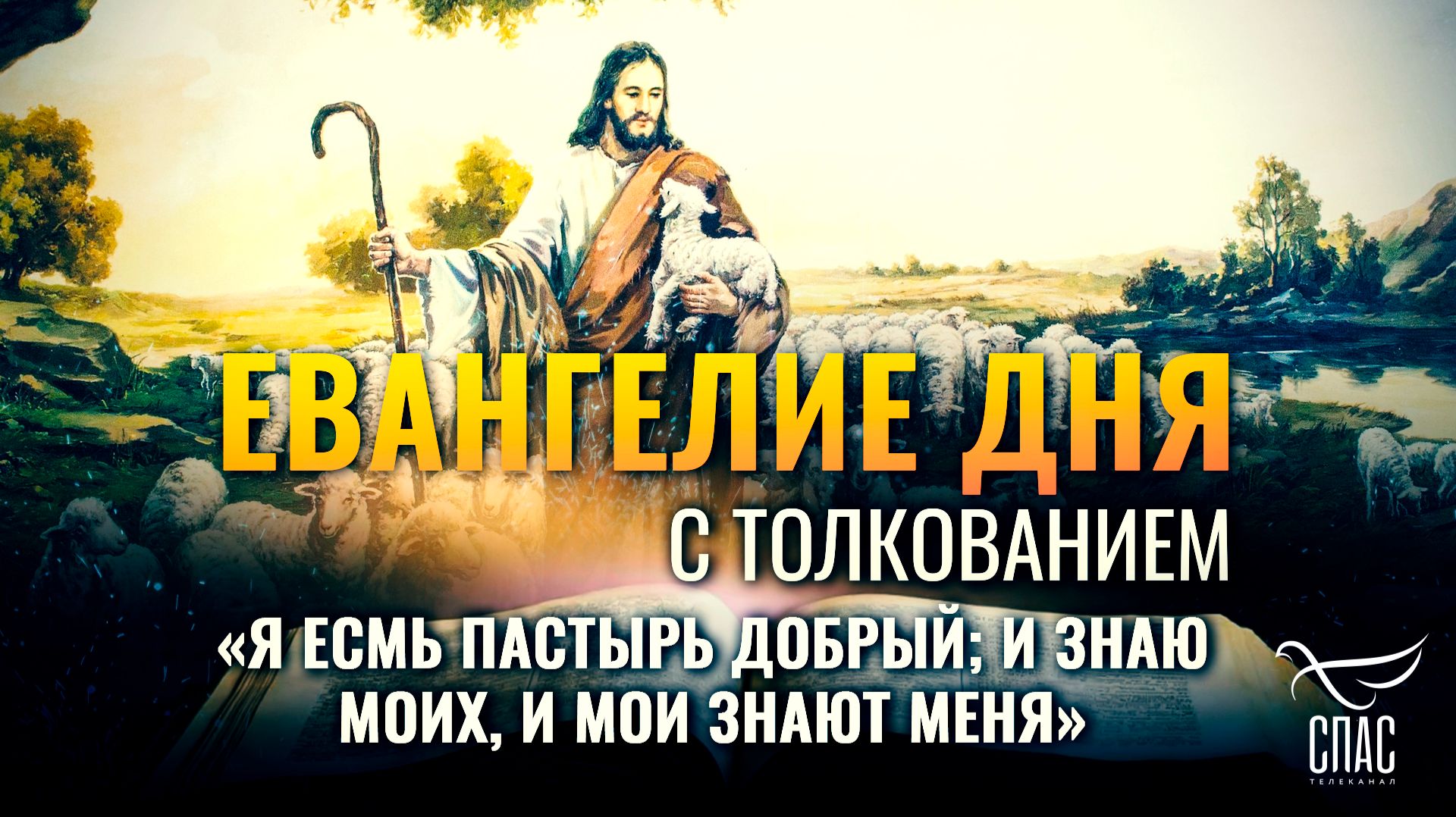 «Я есмь пастырь добрый; и знаю Моих, и Мои знают Меня» / Евангелие дня