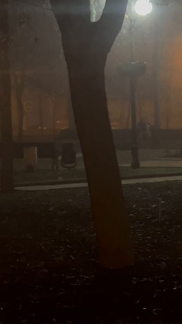 Одинокий саксофонист на туманном бульваре Пушкина в Донецке