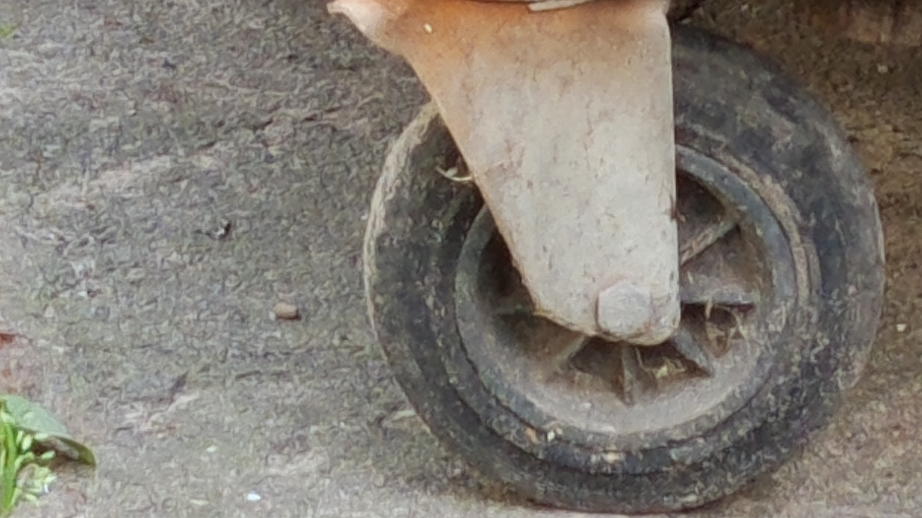 сделал свещеный гамичевска тухлый журнал...