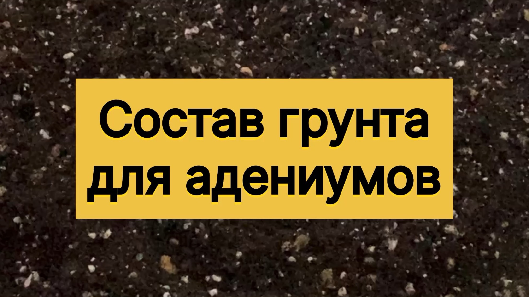 Из каких компонентов состоит грунт для адениумов. 24 ноября 2025 г.
