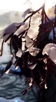 Подпишись 👉 👉 https://kamennyi-zver.ru