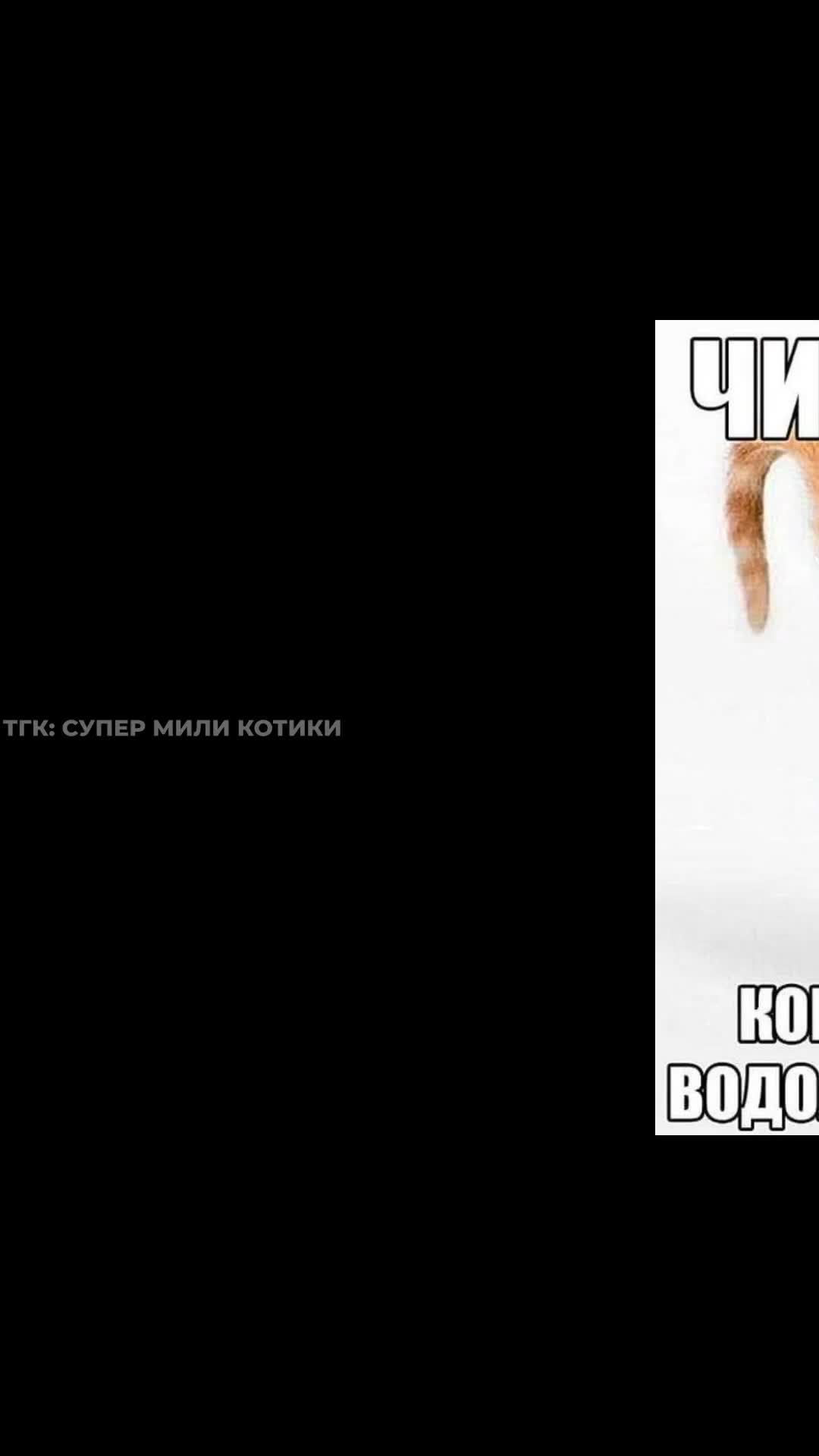 supermilikotiki_051.mp4