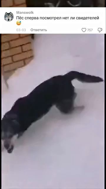 Зря он его послал