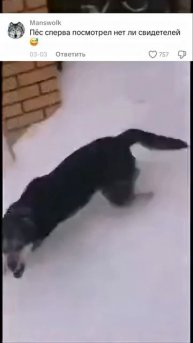 Зря он его послал