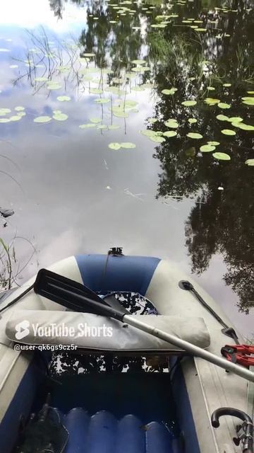 Ленобласть. Хвойное. 15.07.2024. Рыбалка. Лодка после дождя лившегося всю ночь и утро