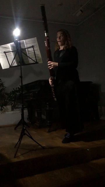 Чеховка. Концерт во тьме, но не кромешной. Скрипка, альт, виолончель и фагот (не разом). Фрагмент 4