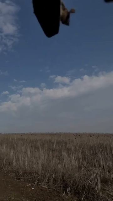 Самая большая проблема передвижения в зоне СВО-это небо кишащее дронами врага.🙏🇷🇺