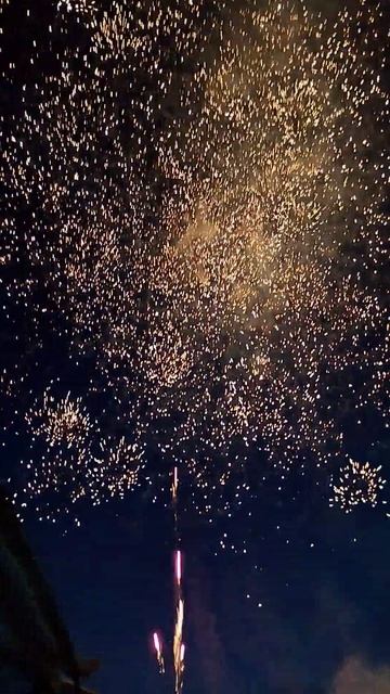 ПВО. Аналогов нет.