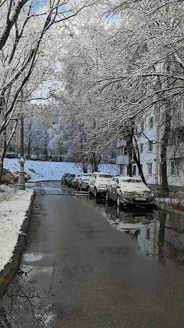 зима ❄️ холода