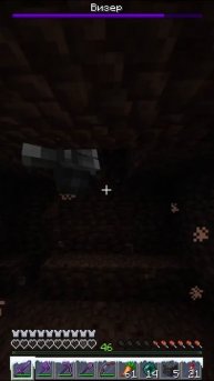 призвали визера!!!