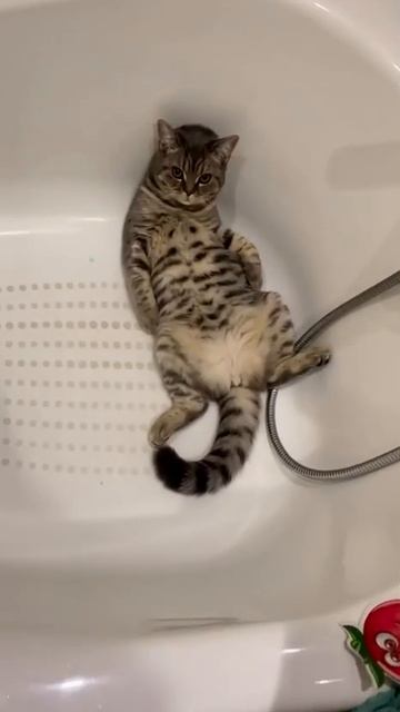 Когда там уже выходные?🤣