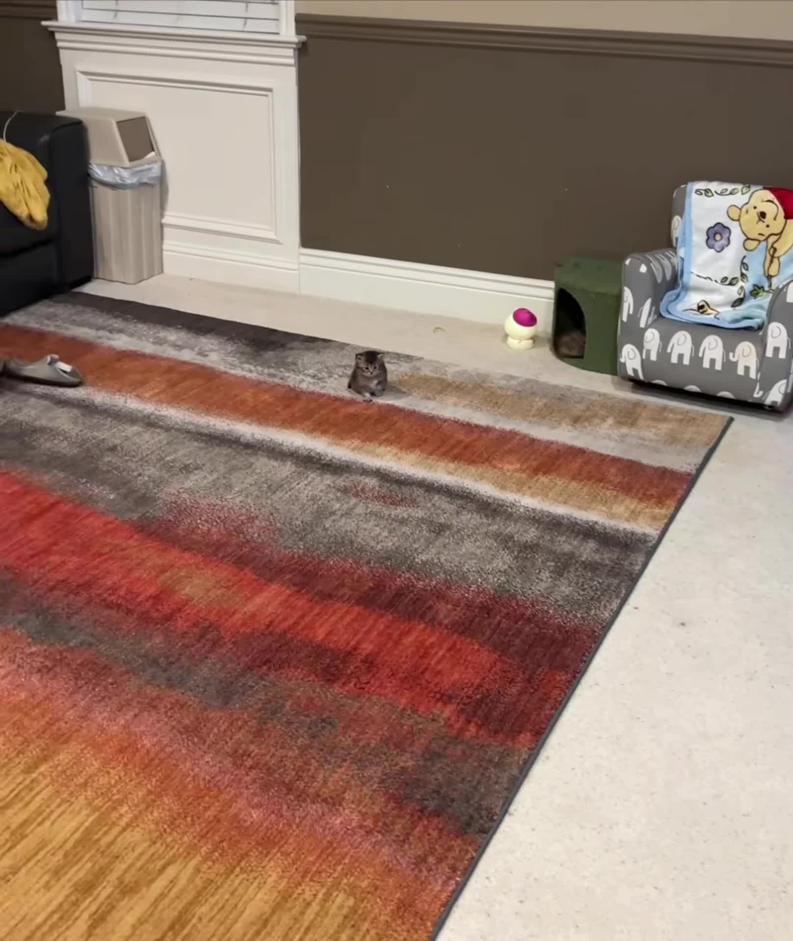 Объясните вашу маленкостб