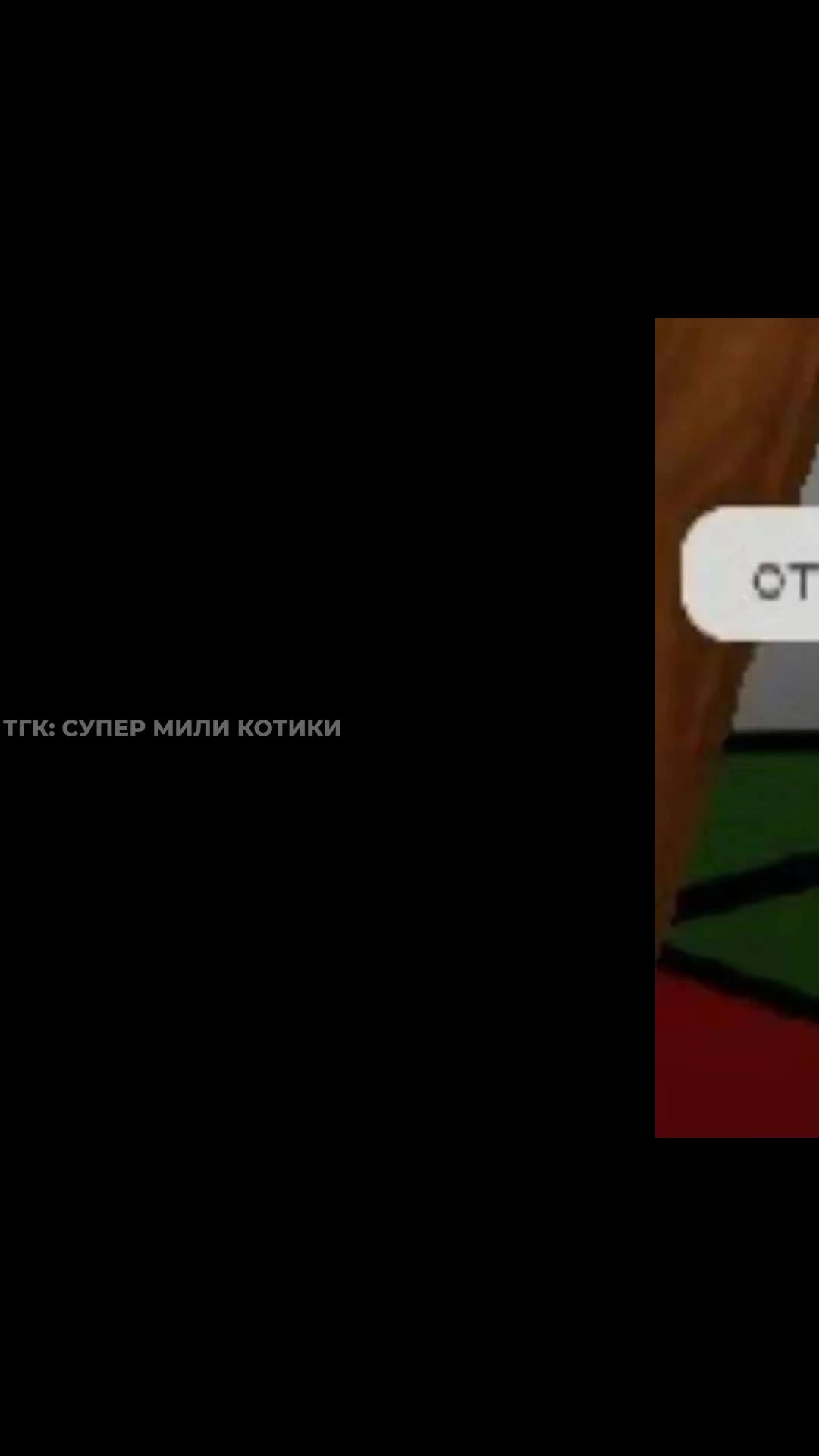 supermilikotiki_050.mp4