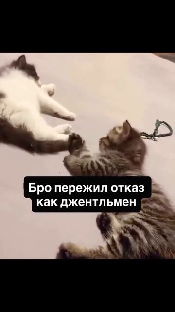 А нy отвалил!