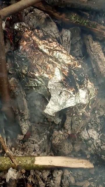 Лес кастер запикание вкусного карася в фольге