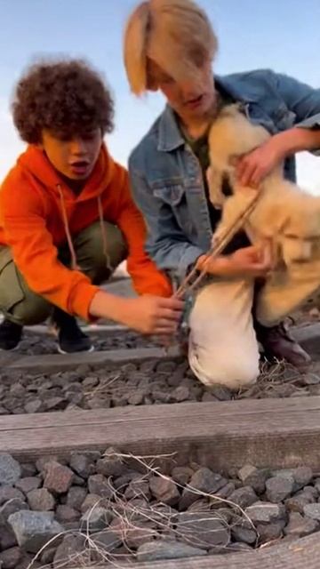 Будьте добрыми ❤️