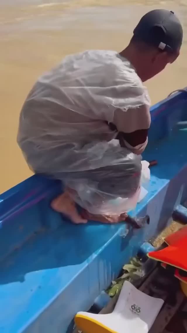 Змею решили не спасать