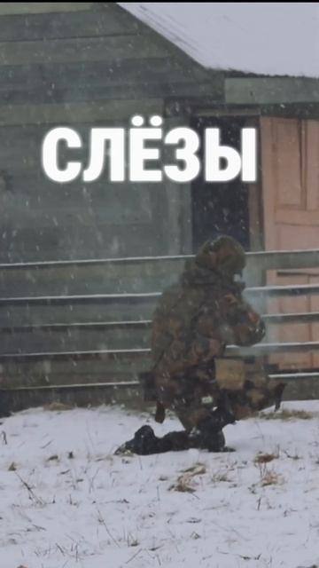 document_5238034439371523156