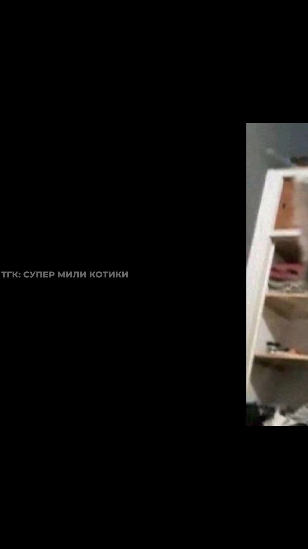 supermilikotiki_052.mp4