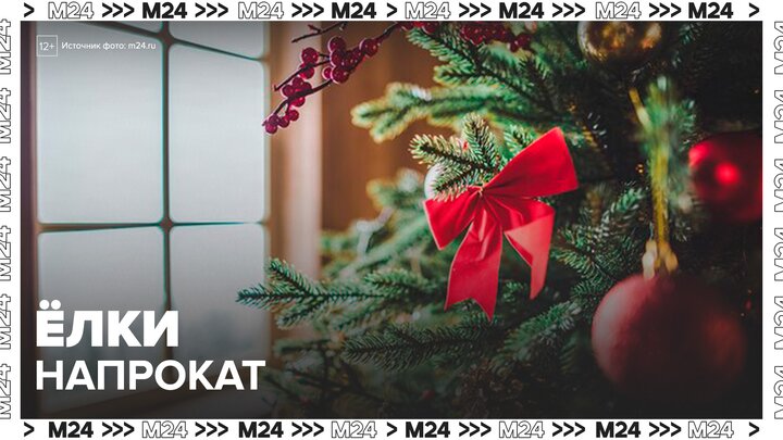 Россияне стали брать напрокат елки и декор к Новому году - Москва 24