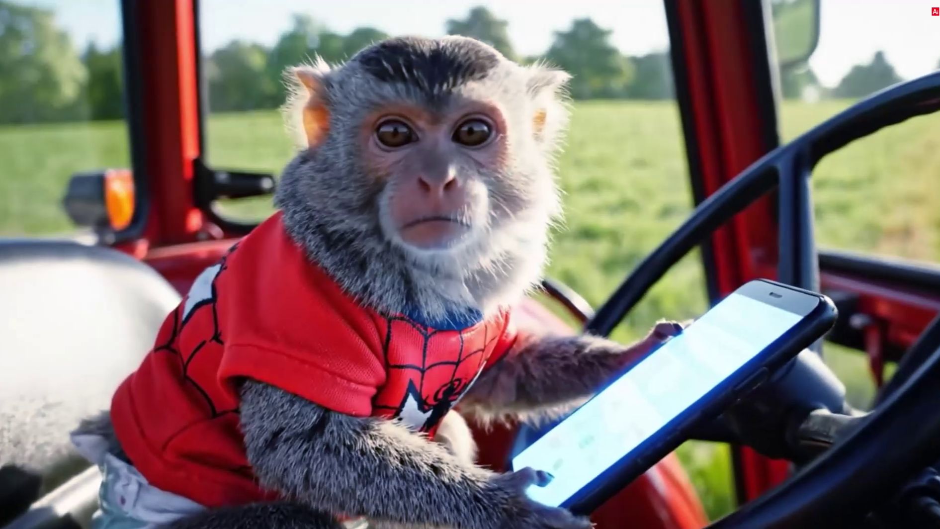 Мартышкина Ферма