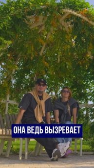 Бесплатные развлечения в Сириусе ➤Куда сходить что посмотреть в Сочи ➤Топ5 мест в Сочи 🔵Просочились