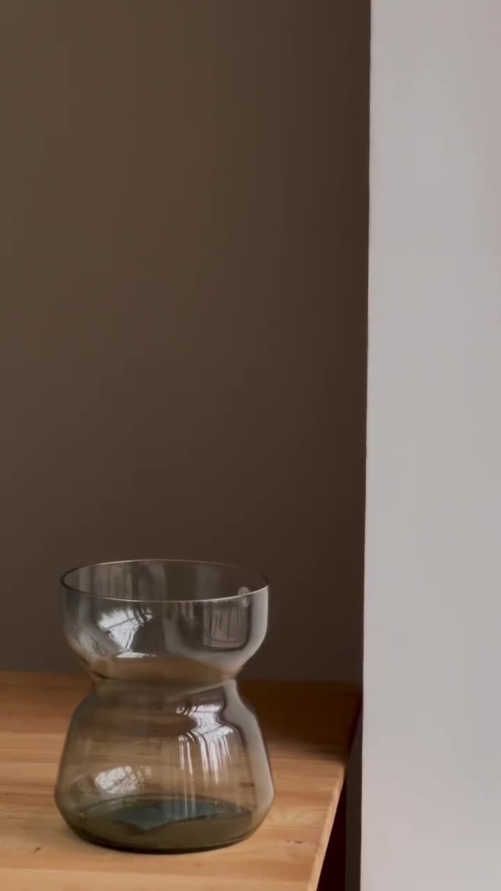 #цветы #ромашки