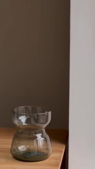 #цветы #ромашки