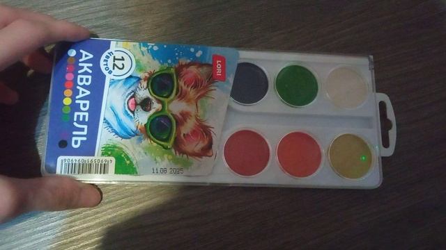 VID_20251118_062320.mp4