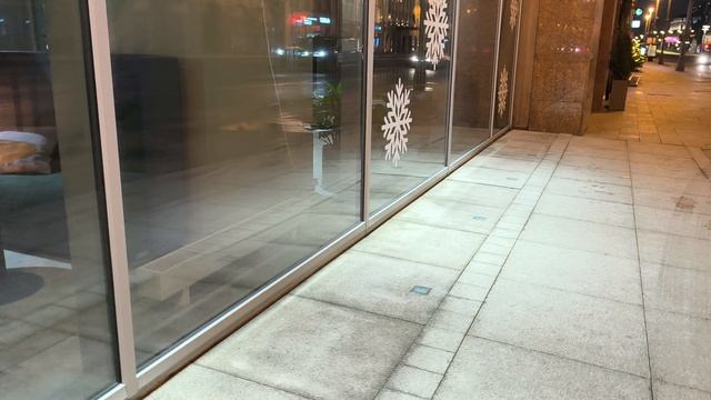 С Канисом по Тверской Ямской к Белорусскому вокзалу ноябрь 2025