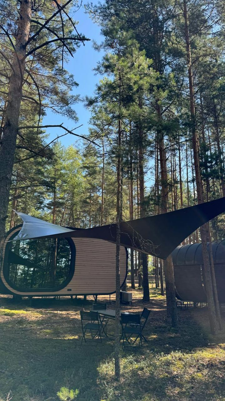 Навес растяжка между деревьев. Мембранный навес от дождя и солнца