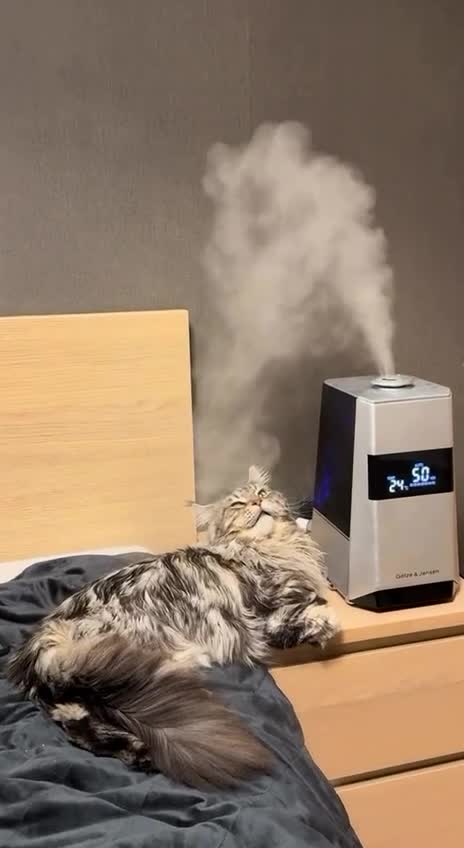 Господи, как хорошо!👌😻