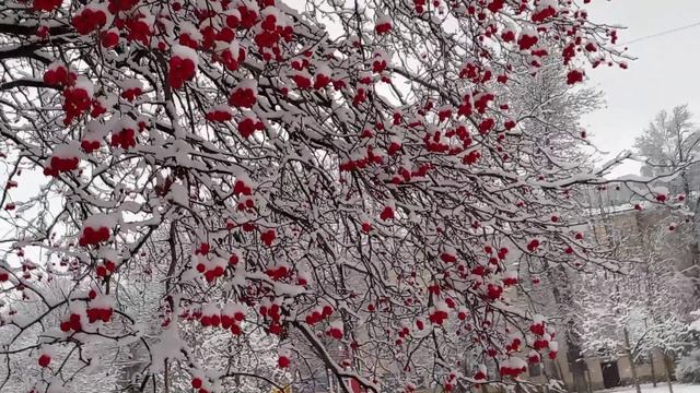 ПЕТЕРБУРГСКИЙ ПОЛДЕНЬ.