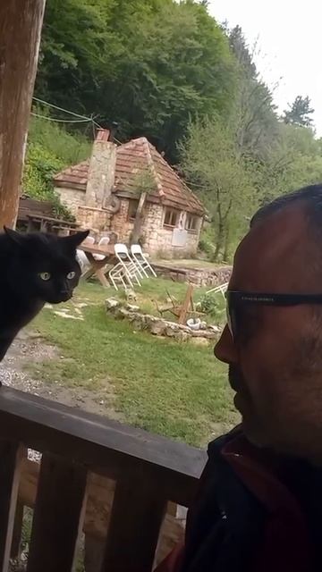 Напряжный разговор😂