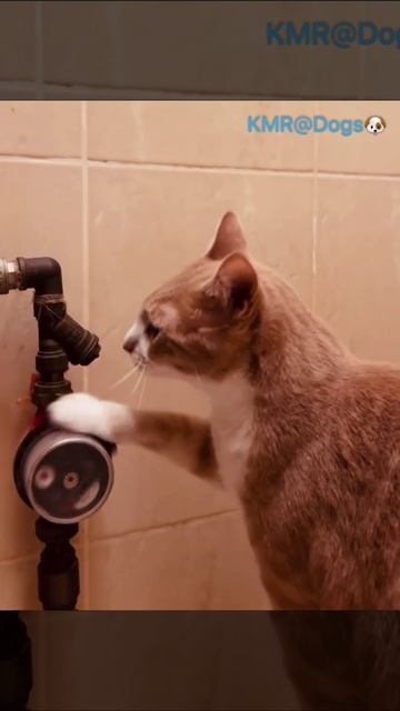 Скручивание счетчиков на воду😂