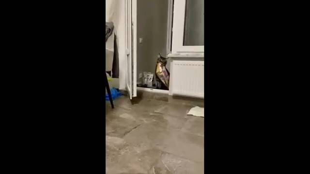 ЛУЧШИЕ ПРИКОЛЫ 2025 ПРИКОЛЫ 2025 СВЕЖИЕ ПРИКОЛЫ 2025 РЖУ НЕ МОГУ