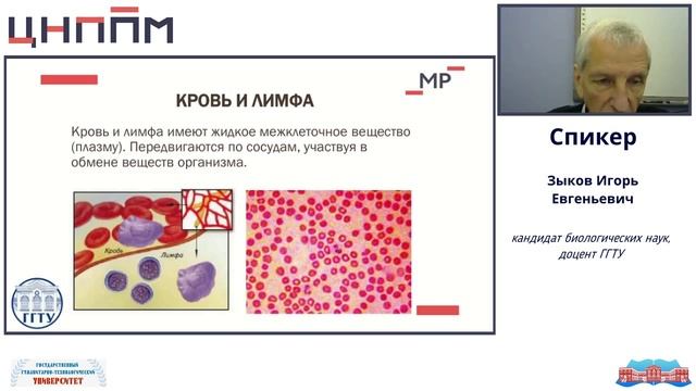 Ткани животных и человека