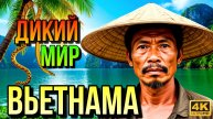 ВЬЕТНАМ!! Дикий Мир Джунглей Индокитая!!!
