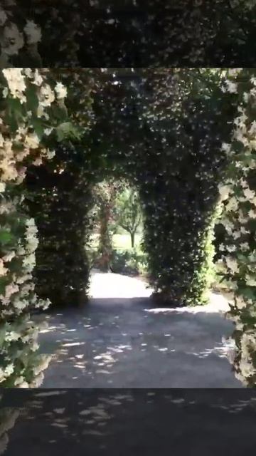 Цветочные арки и своды. Искусство настоящего садовника