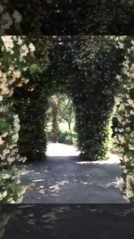 Цветочные арки и своды. Искусство настоящего садовника