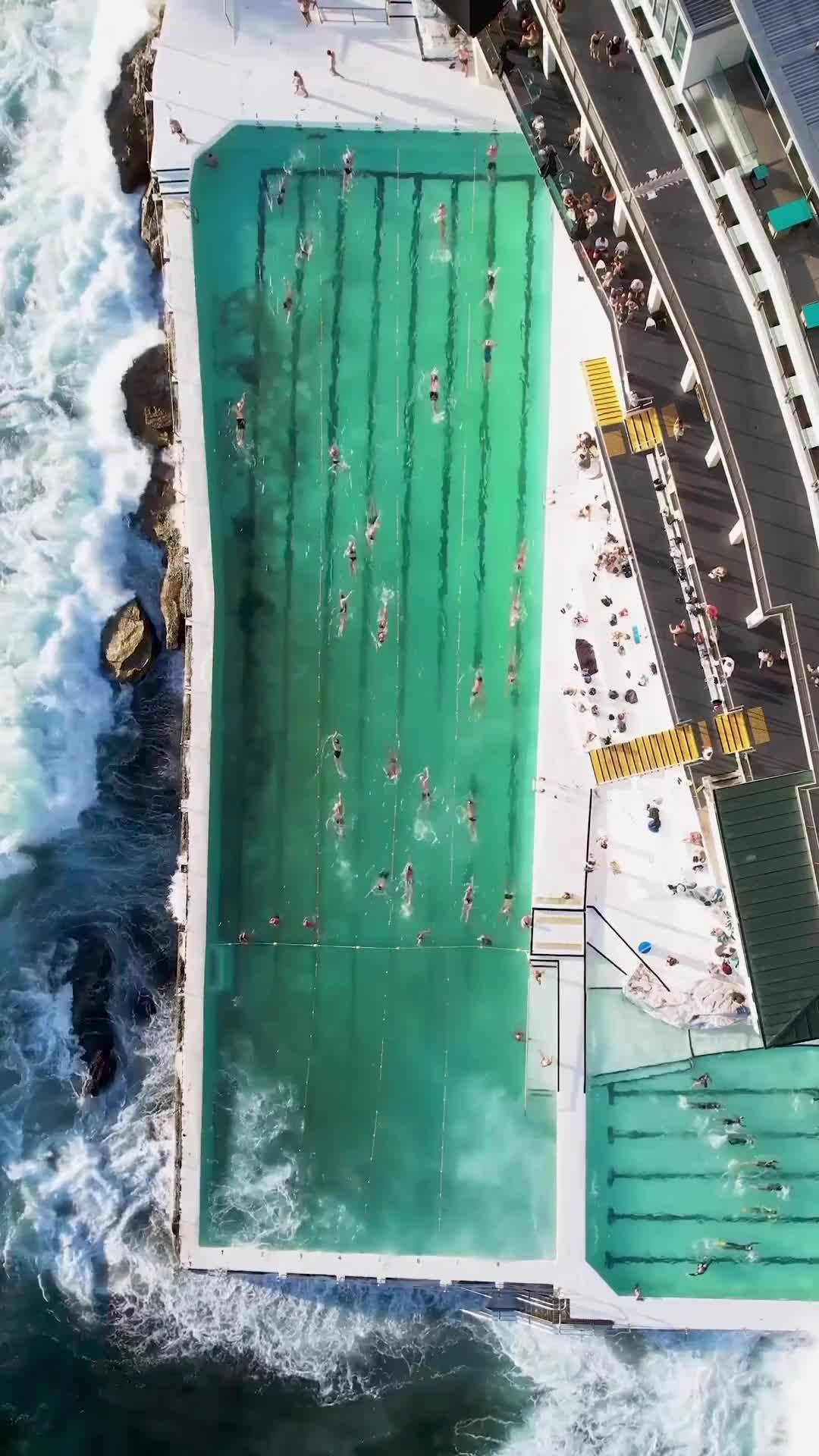 Bondi Icebergs - это уникальный плавательный комплекс в Сиднее, который был задуман австралийским...