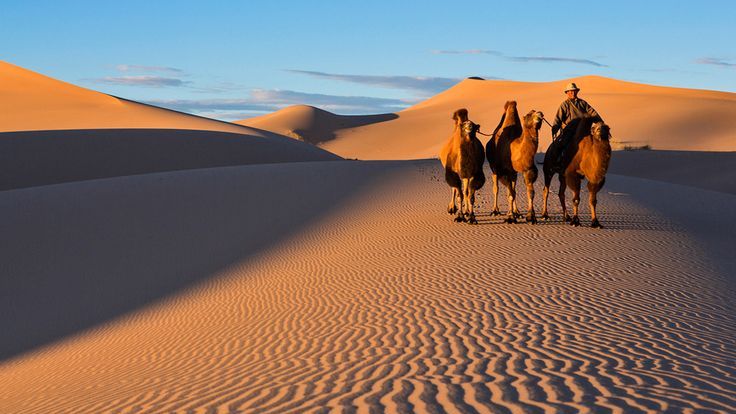 Аудиокнига - В пустыне Гоби
