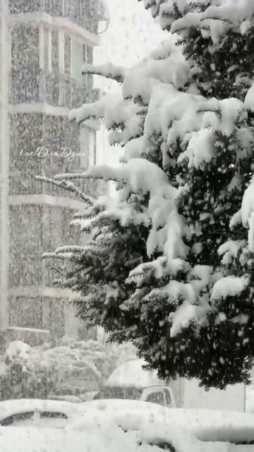 И падал снег, так важно и степенно,
Без лишних пируэтов, сверху вниз.
Как-будто исполнял этюд Шопен