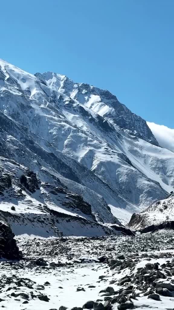 Подпишись 👉 👉 https://kamennyi-zver.ru