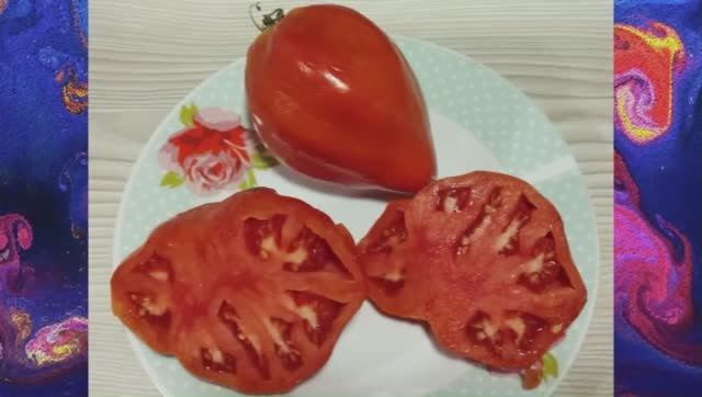 Каталог томатов на 2026 год. Часть 15. г. Киров. т.  89229284031